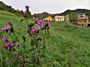 Madonna delle Cime sul Corno Zuccone da Reggetto di Vedeseta-19nov21- FOTOGALLERY